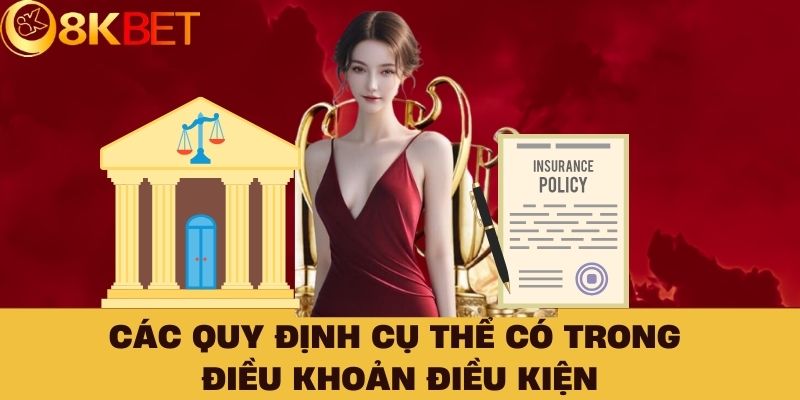 Các quy định cụ thể có trong điều khoản điều kiện